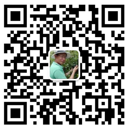 Moon Robotics WeChat QR code — contact Jason Huang, Auckland VEX robotics club coach